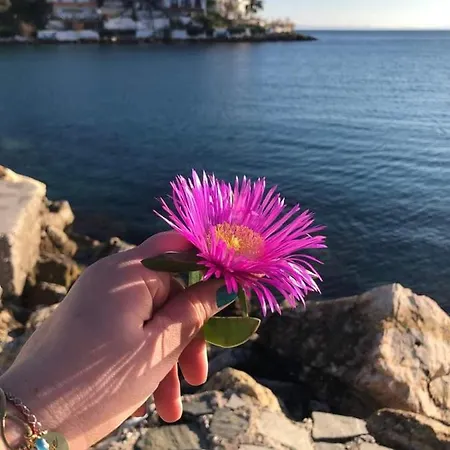 招待所 Pansion Panorama Skála Marión